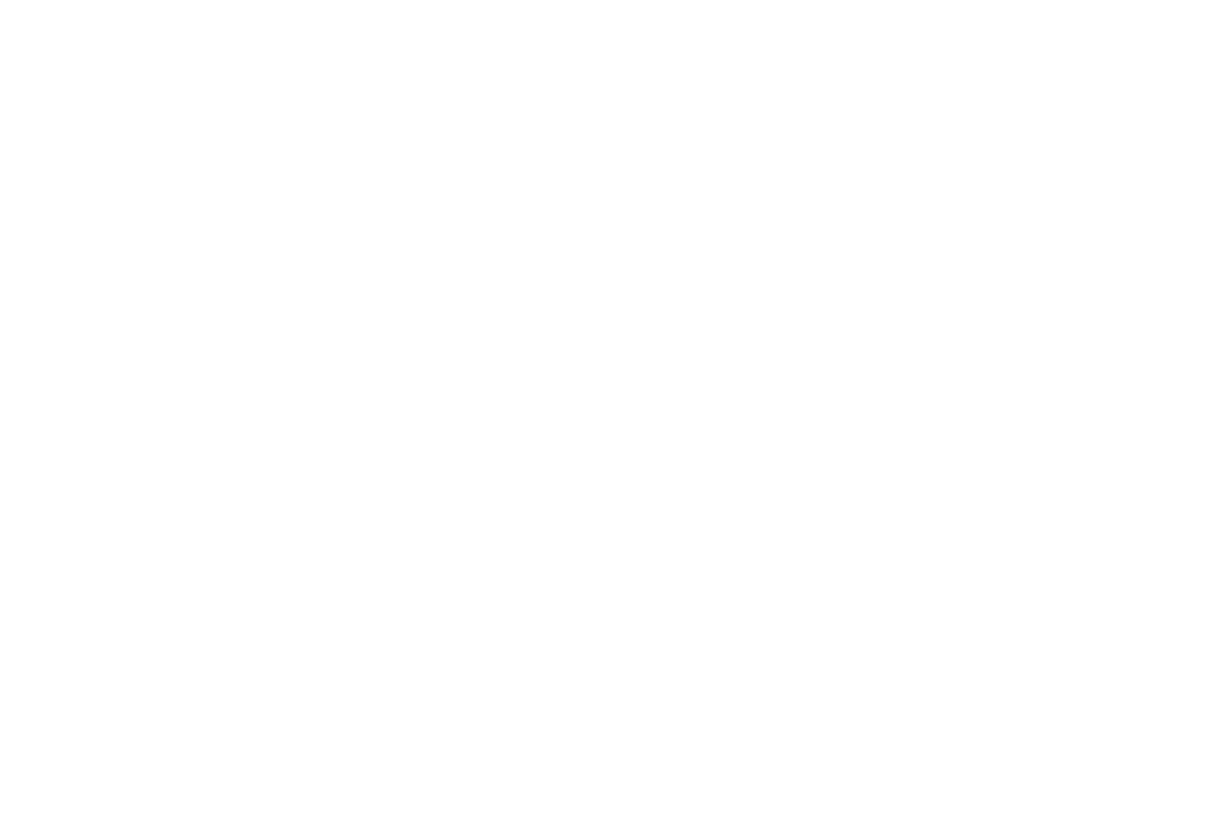 aestate logo